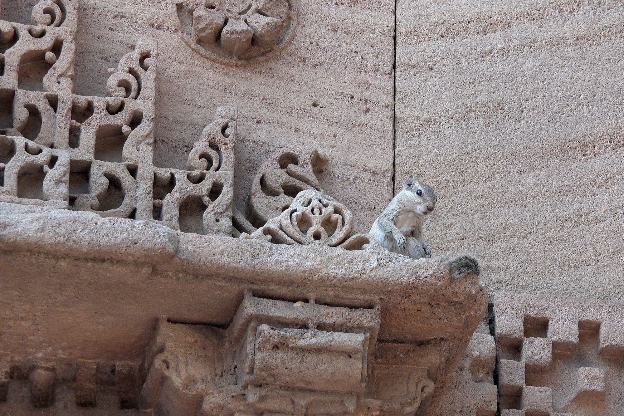 Christoph Radke, India, Ahmedabad, 2020